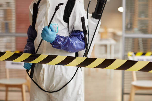 Professional Hoarding Cleanup technician working in Runge, TX
